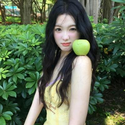 蒂科与鲨鱼
